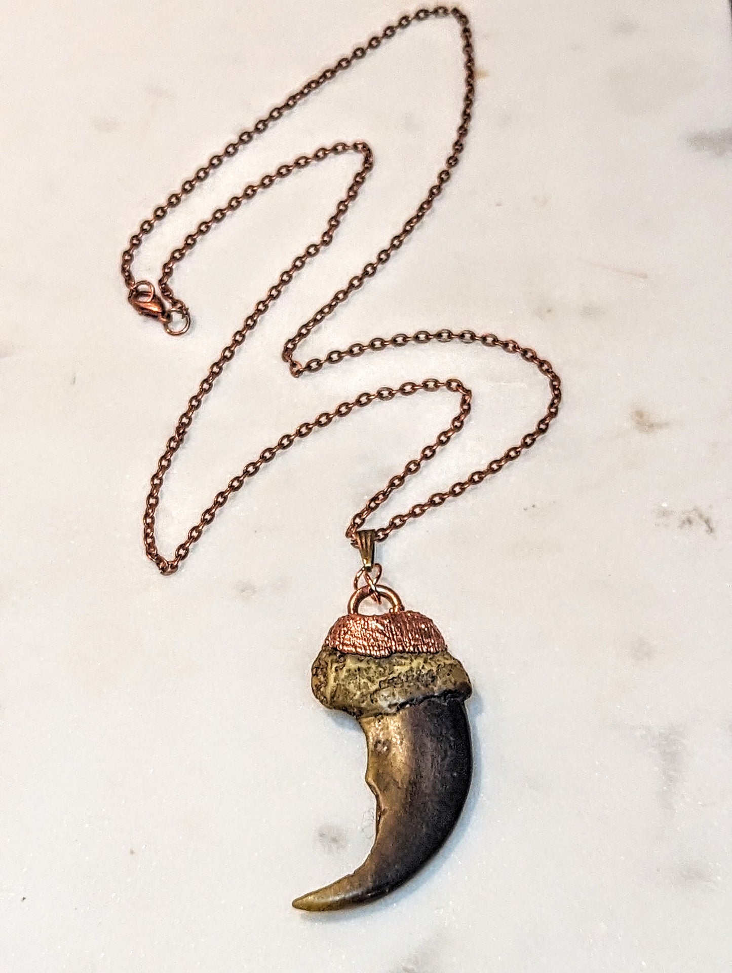 Raptor Pendant